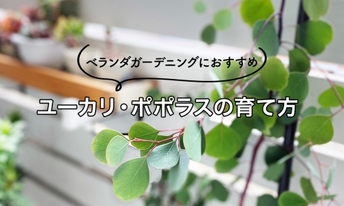胳肢窝老出汗是狐臭吗-胳肢窝老出汗啥原因专区_胳肢窝老出汗是什么原因专区_胳肢窝老出汗网