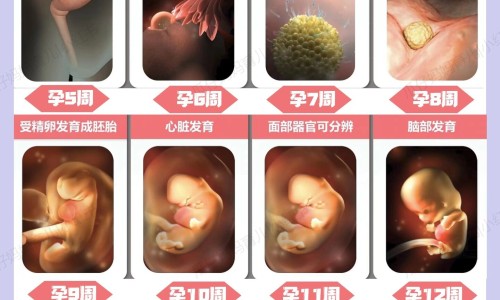 胳肢窝老出汗啥原因专区_胳肢窝老出汗是什么原因专区_胳肢窝老出汗网